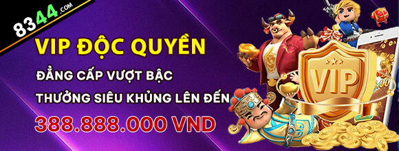 Hình ảnh quảng cáo của 88lbs hiển thị nền tảng và các lợi ích