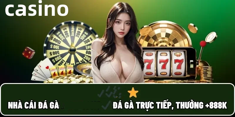 Hình ảnh quảng cáo của 88lbs hiển thị nền tảng và các lợi ích